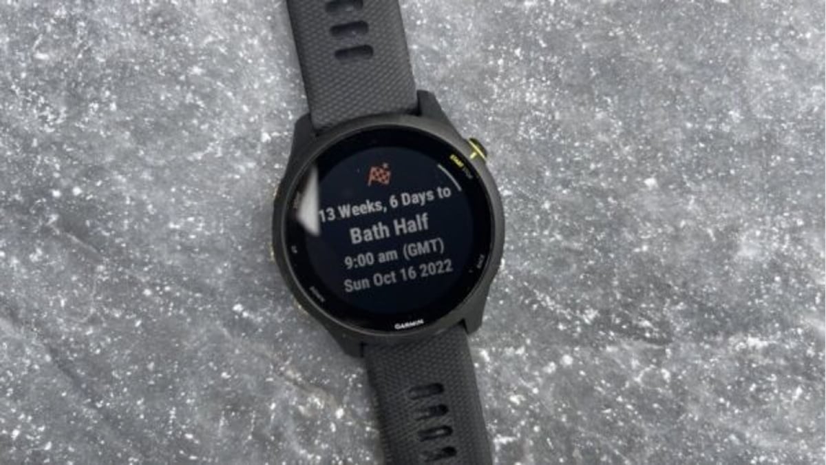 forerunner-255-race-widget