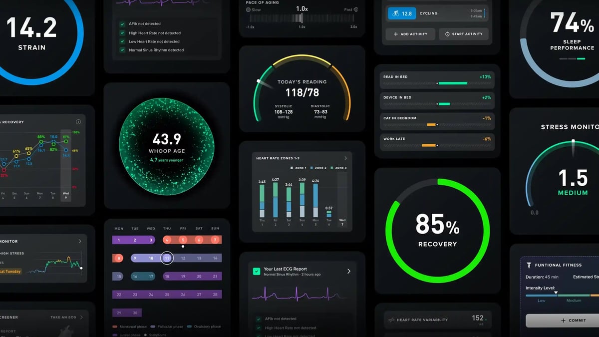 whoop-dashboard