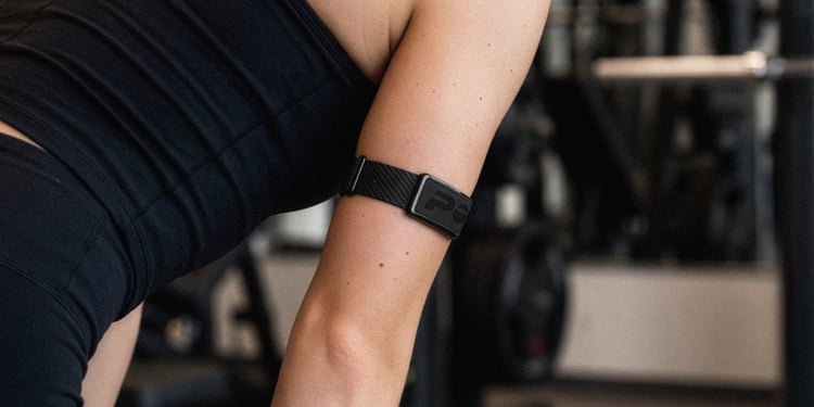 polar loop armband