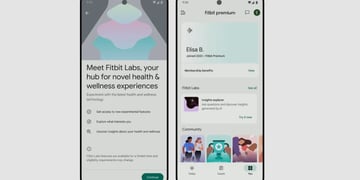 Fitbti AI gemini
