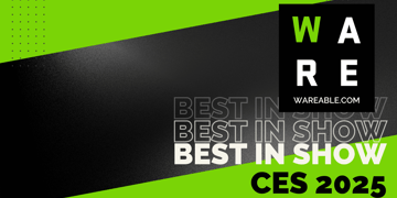 Wareable CES Awards