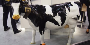 Fujitsu made a wearable for cows