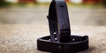 Pivotal Living is a $12 a year fitness tracker