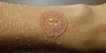 Smart sweat-detecting skin patch knows when you're dehydrated