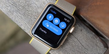 'Record' Apple Watch sales show nobody's caught up in the past 12 months