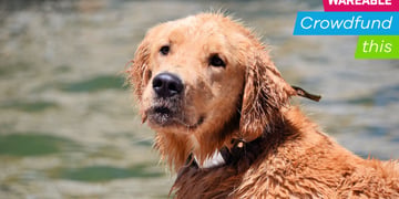 Waggit's smart collar could one day help save dogs from cancer