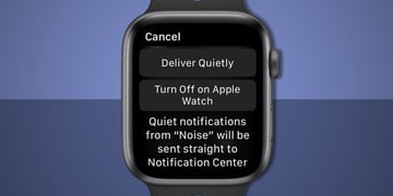 Apple Watch notifications: How to make your watch less annoying