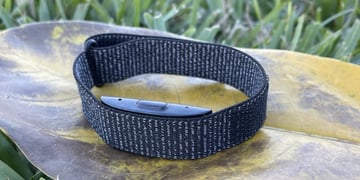Amazon Halo review: Super intrusive but big-brand Labs shine through