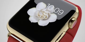 Apple Watch sales: What Tim Cook let slip