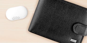 Crowdfunded Ditto is shipping 10 August