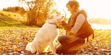 DogStar TailTalk wants you to know how your puppy feels