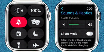 Answered: How to set the Apple Watch to vibrate-only for notifications and alerts