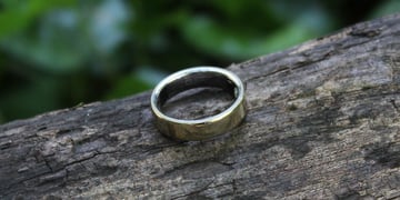 oura ring 5 on tree wide angle