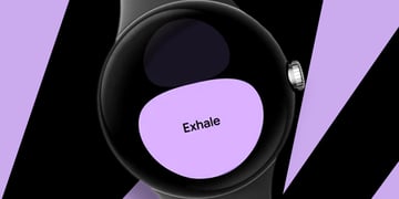 Pixel watch breathing sessions