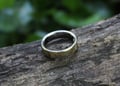 oura ring 5 on tree wide angle